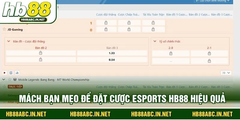 Mách bạn mẹo để đặt cược esports HB88 hiệu quả